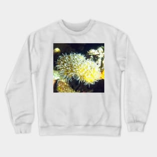 Star Coral Crewneck Sweatshirt